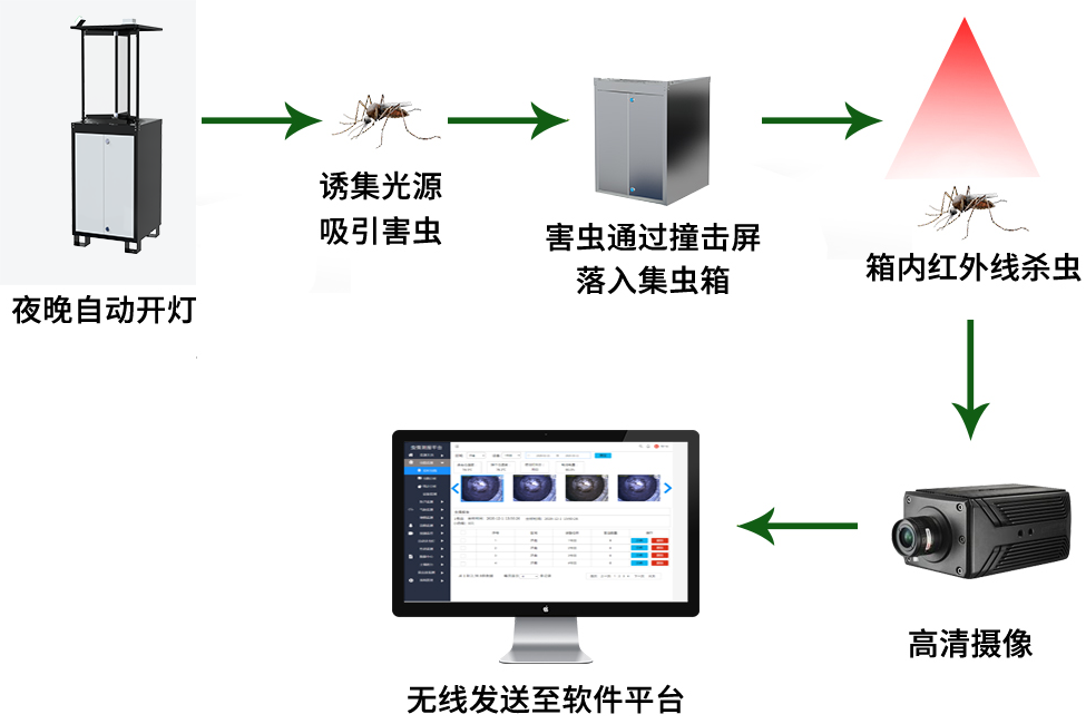 太陽能蟲情測報(bào)燈